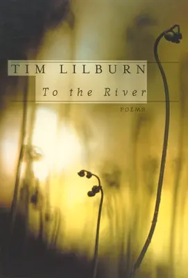 K rieke - To the River