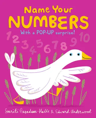 Pomenujte svoje čísla - Name Your Numbers