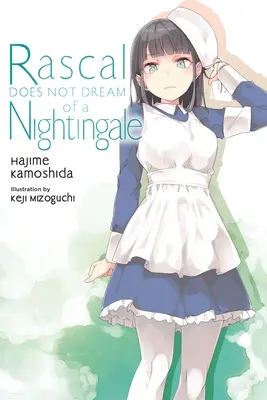 Darebák nesníva o slávikovi (Ľahký román) - Rascal Does Not Dream of a Nightingale (Light Novel)