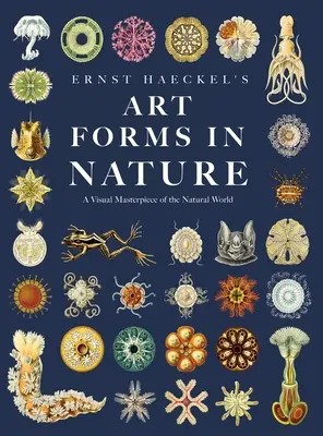 Ernst Haeckel's Art Forms in Nature (Umelecké formy v prírode): Vizuálne majstrovské dielo o svete prírody - Ernst Haeckel's Art Forms in Nature: A Visual Masterpiece of the Natural World