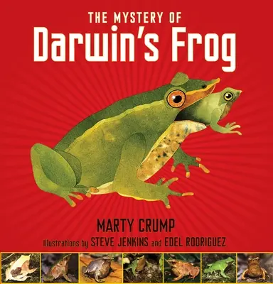 Záhada Darwinovej žaby - The Mystery of Darwin's Frog