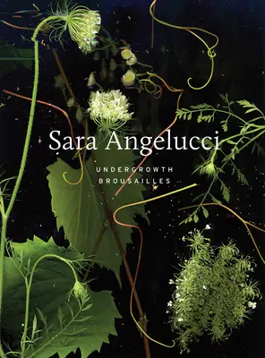 Sara Angelucci: Podrast / Broussailles - Sara Angelucci: Undergrowth / Broussailles