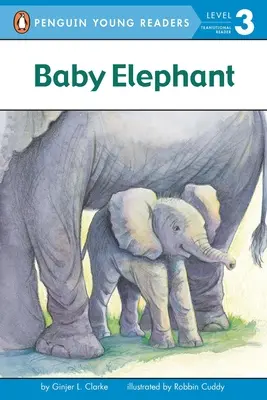 Mláďa slona - Baby Elephant