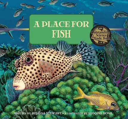 Miesto pre ryby - A Place for Fish