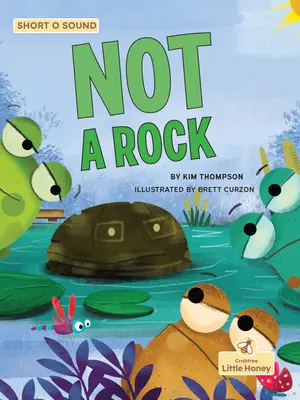 Nie je to skala - Not a Rock