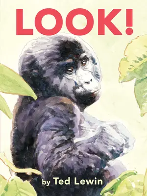 Pozri! - Look!