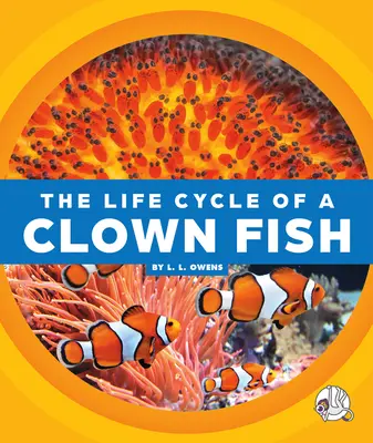Životný cyklus klauna - The Life Cycle of a Clown Fish