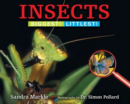 Hmyz: Najväčší! Najmenší! - Insects: Biggest! Littlest!