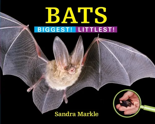 Netopiere: Najväčší! Najmenší! - Bats: Biggest! Littlest!