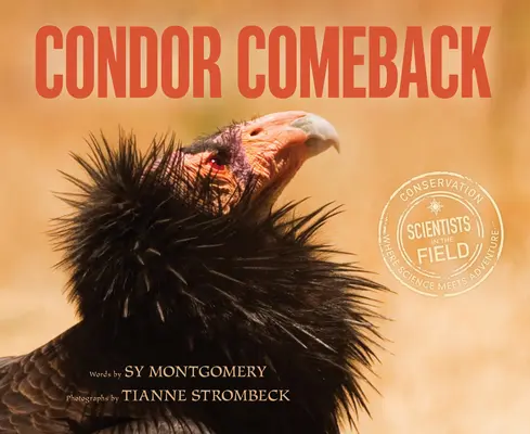 Návrat kondora - Condor Comeback