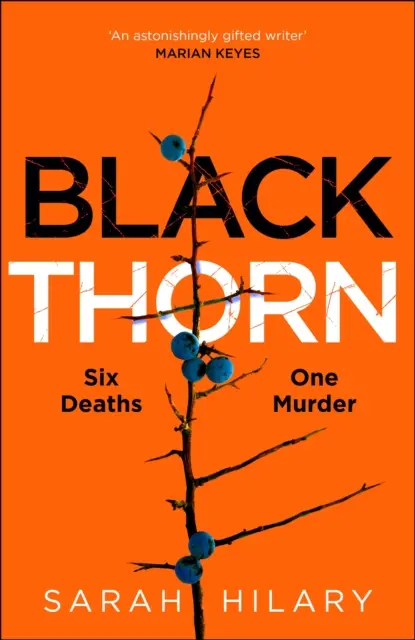 Čierny tŕň - Strhujúci a podmanivý viacvrstvový triler o rodinách a ich tajomstvách a lžiach - Black Thorn - A haunting and captivating multi-layered thriller about families and their secrets and lies