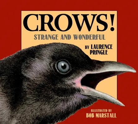 Vrany! Vrany: zvláštne a úžasné - Crows!: Strange and Wonderful