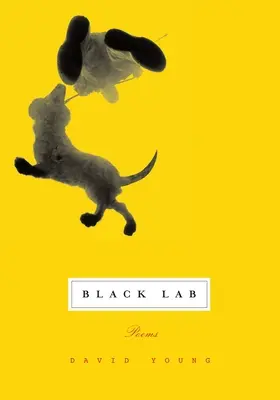 Čierna laboratória: Básne - Black Lab: Poems