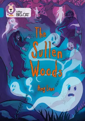 The Sullen Woods: Kapela 13/Topaz - The Sullen Woods: Band 13/Topaz