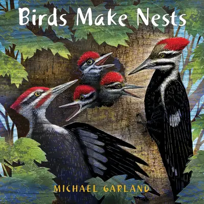 Vtáky si robia hniezda - Birds Make Nests