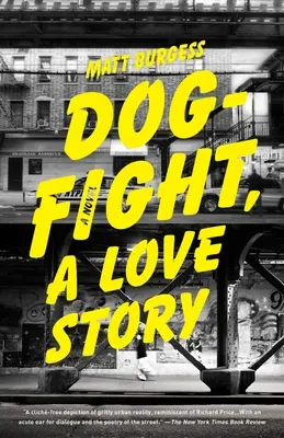 Psie zápasy, milostný príbeh - Dogfight, a Love Story