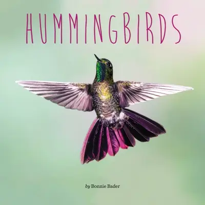 Kolibríky - Hummingbirds