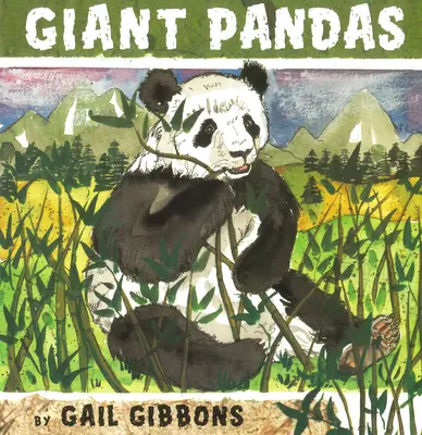 Pandy obrovské - Giant Pandas