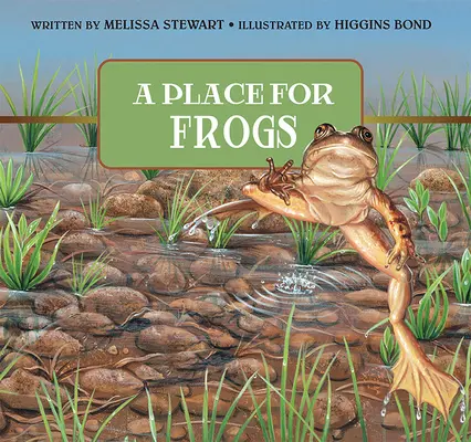 Miesto pre žaby - A Place for Frogs