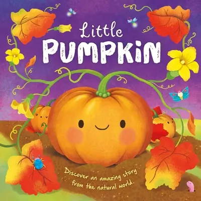 Príbehy o prírode: Malá tekvička: Kniha: Pampúšik: Polstrovaná dosková kniha - Nature Stories: Little Pumpkin: Padded Board Book