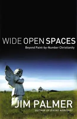 Široké priestory: Kresťanstvo podľa čísel: otvorené priestory: viac než len kresťanstvo podľa čísel - Wide Open Spaces: Beyond Paint-By-Number Christianity