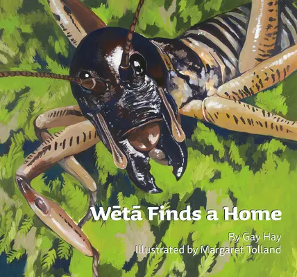 Weta nachádza domov - Weta Finds a Home