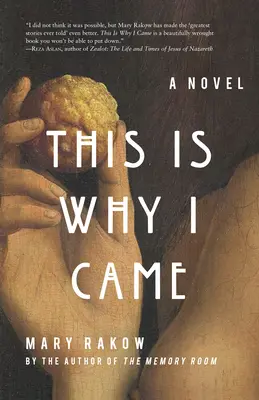 Preto som prišiel - román - This Is Why I Came - A Novel