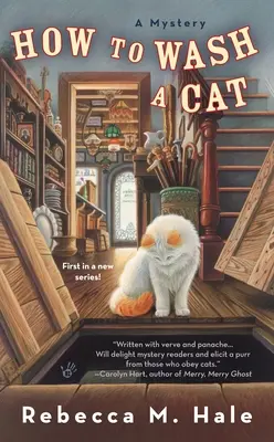 Ako umývať mačku - How to Wash a Cat
