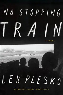 Vlak sa nezastaví - No Stopping Train