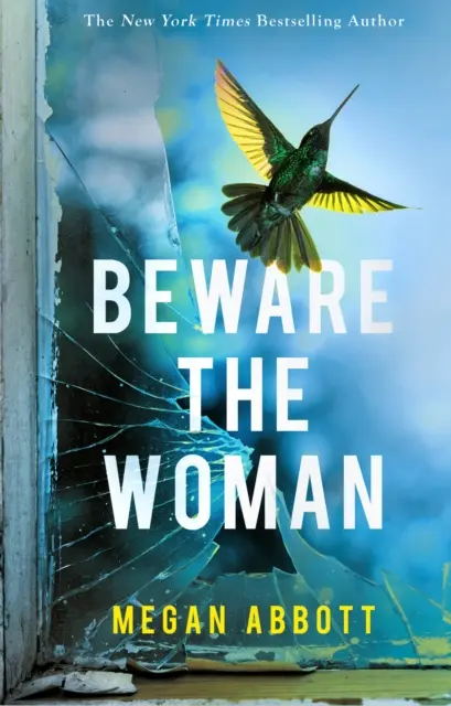 Dajte si pozor na ženu - Spletitý, neprehliadnuteľný nový triler o rodinných tajomstvách na rok 2023 od autorky bestsellerov New York Times - Beware the Woman - The twisty, unputdownable new thriller about family secrets for 2023 by the New York Times bestselling author