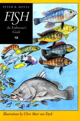 Ryby: Príručka pre nadšencov - Fish: An Enthusiast's Guide