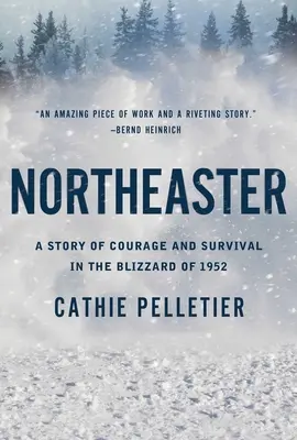 Northeaster: Príbeh o odvahe a prežití v snehovej búrke v roku 1952 - Northeaster: A Story of Courage and Survival in the Blizzard of 1952