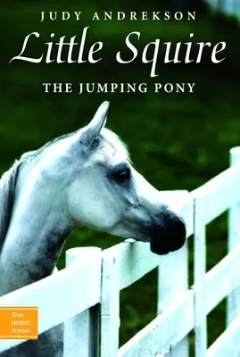 Malý Squire - skákací poník - Little Squire the Jumping Pony