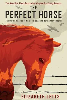 Dokonalý kôň - Odvážna záchrana koní unesených počas druhej svetovej vojny - Perfect Horse - The Daring Rescue of Horses Kidnapped During World War II