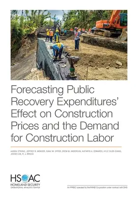 Prognózovanie vplyvu výdavkov na obnovu verejných financií na ceny stavebných prác a dopyt po stavebnej pracovnej sile - Forecasting Public Recovery Expenditures' Effect on Construction Prices and the Demand for Construction Labor