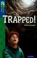 Oxford Reading Tree TreeTops Fiction: Level 14 More Pack A: Pack of 36
