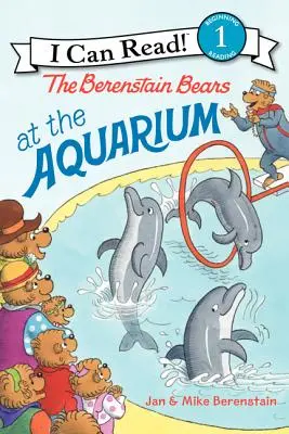 Medvedíky Berenstainové v akváriu - The Berenstain Bears at the Aquarium
