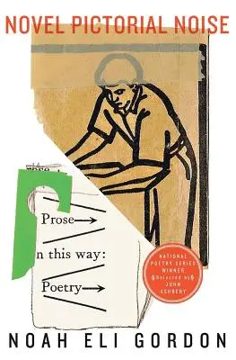 Román Obrázkový šum - Novel Pictorial Noise