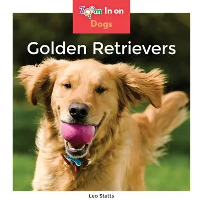 Zlatí retrieveri - Golden Retrievers