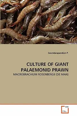 Kultúra obrovských kreviet Palaemonid - Culture of Giant Palaemonid Prawn