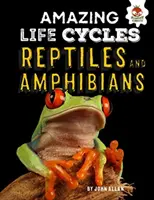 Plazy a obojživelníky - úžasné životné cykly - Reptiles and Amphibians - Amazing Life Cycles