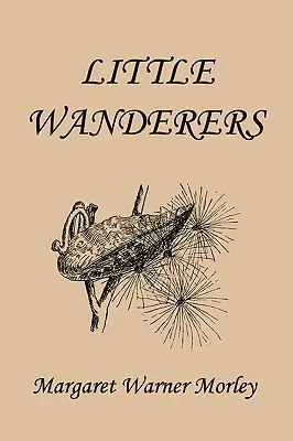 Malí tuláci, ilustrované vydanie (včerajšia klasika) - Little Wanderers, Illustrated Edition (Yesterday's Classics)