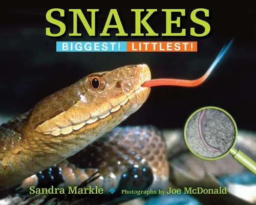 Hady: Najväčší! Najmenší! - Snakes: Biggest! Littlest!