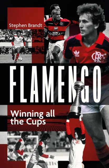 Flamengo: Víťazstvo vo všetkých pohároch - Flamengo: Winning All the Cups