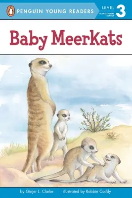 Mláďatá surikát - Baby Meerkats