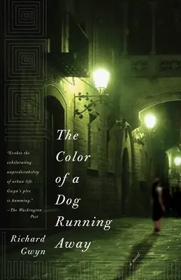 Farba utekajúceho psa - The Color of a Dog Running Away