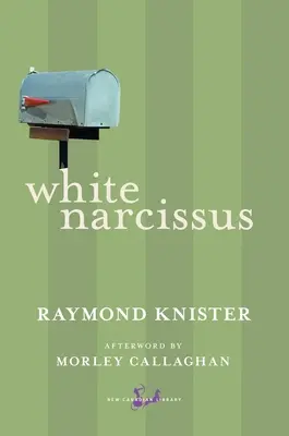 Biely narcis - White Narcissus