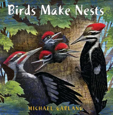Vtáky si robia hniezda - Birds Make Nests