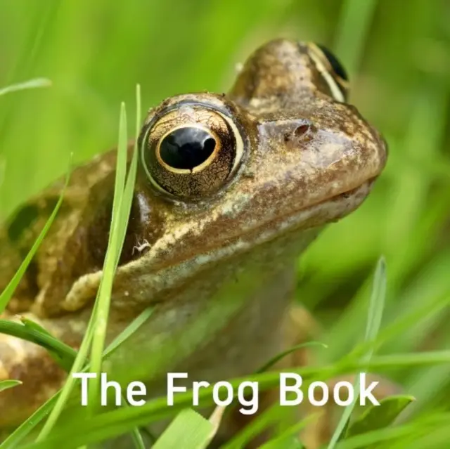 Žabia kniha - Frog Book