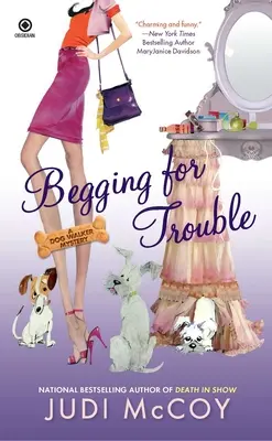Žobranie o problémy - Begging for Trouble